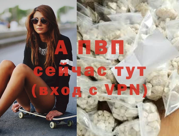 спиды Абаза